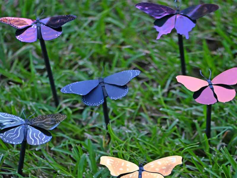 The UCF-developed plasmonic paint uses nanoscale structural arrangement of colorless materials — aluminum and aluminum oxide — instead of pigments to create colors. Here the plasmonic paint is applied to the wings of metal butterflies, the insect that inspired the research.