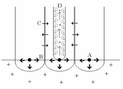 Figure 1: The Constraint Theory of Anodic Oxide Formation. A: Preferential nuclei form base of pore. B: Repulsive forces between similarly charged oxide “flakes” foster outward growth. C: Mass transport and diffusion across column walls form intercolumn “knit lines”. D: Repulsive forces within each pore maintain the erect nature of the column and dynamic flow of the electrolyte.
