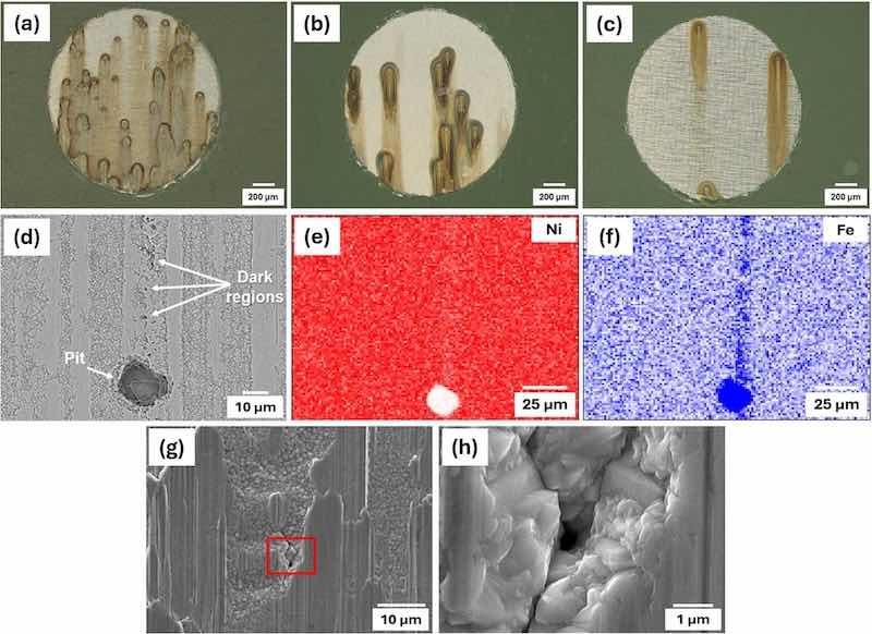 Fig. 10. Examples of stereographic images from the surfaces of the (a) electroplated, (b) annealed, and (c) temper-rolled after potentiodynamic test (after 30 min immersion in 0.1 M NaCl solution), (d) backscattered image of a temper-rolled sample surface along with EDS of (e) Ni map, (f) Fe map after the test, (g) corrosion initiation site on the surface of temper-rolled samples, and (h) the same image with higher magnification.