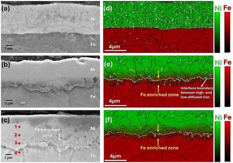 Fig. 3. SEM image from the etched cross-section of (a) electroplated, (b) annealed, (c) temper-rolled samples, EBSD cross-sectional analysis merged with EDS elemental map distribution of (d) electroplated, (e) annealed, (f) temper-rolled samples.