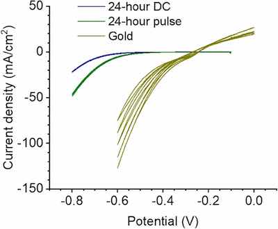 Figure 7. Hydrogen evolution reaction on 24-h pulse- and DC-plated bismuth compared to gold. Cyclic voltammetry performed at 20 mV/s in 10% HNO3 using a standard calomel reference electrode (saturated KCL) and a carbon rod counter electrode.